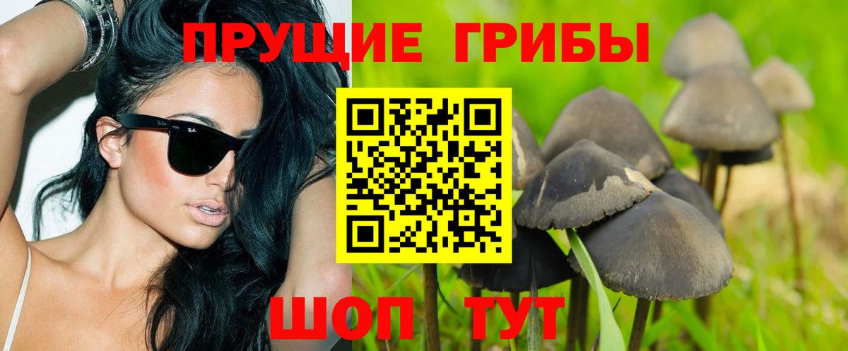 Галлюциногенные грибы мухоморы  Вход с VPN  Галлюциногенные грибы Psilocybe  Нальчик 